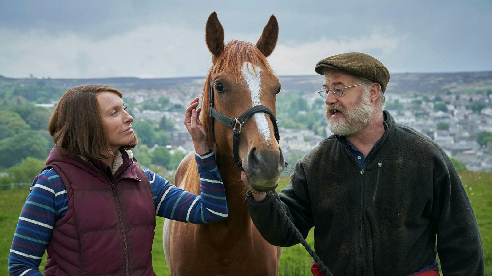 DH1 - Dream About Being Kicked By A Horse – Causes and Interpretations