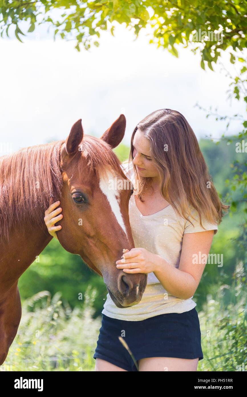 PH51RR - Dream About Petting A Horse – What It Could Indicate