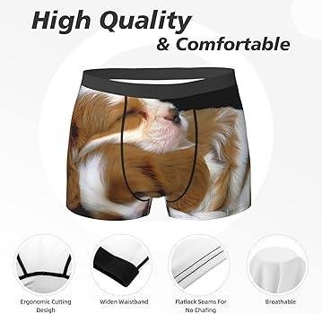 UY350  - Dream Dog Underwear – Decoding the Message
