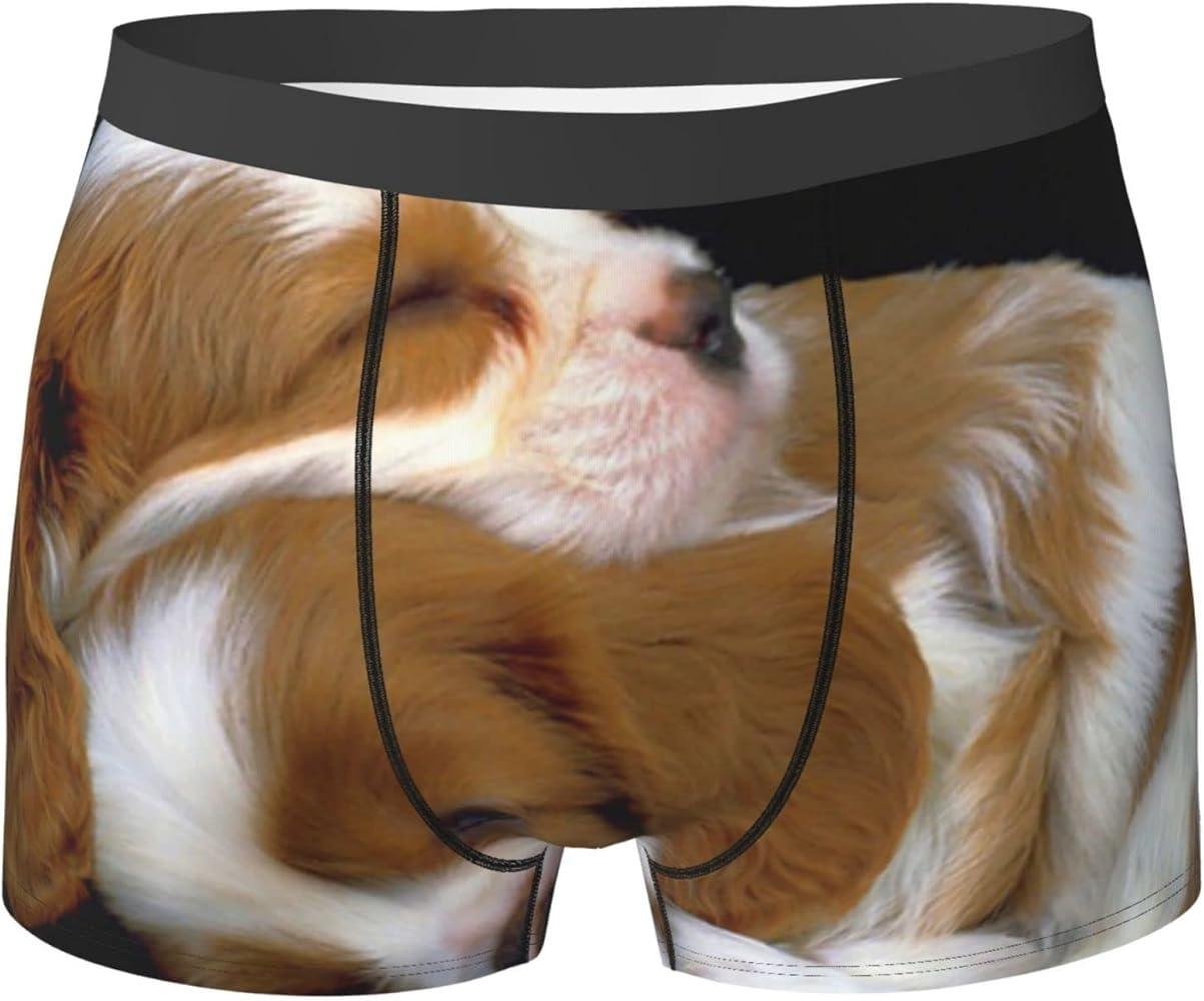 Y1000  - Dream Dog Underwear – Decoding the Message