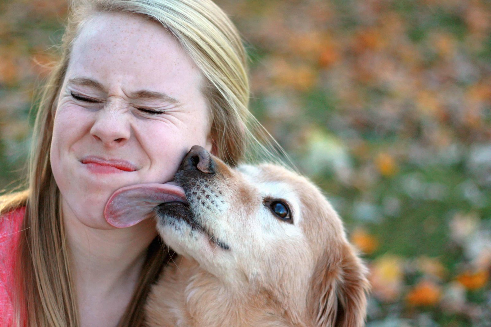 LARGE - Dream About Dog Licking My Face – Causes and Interpretations