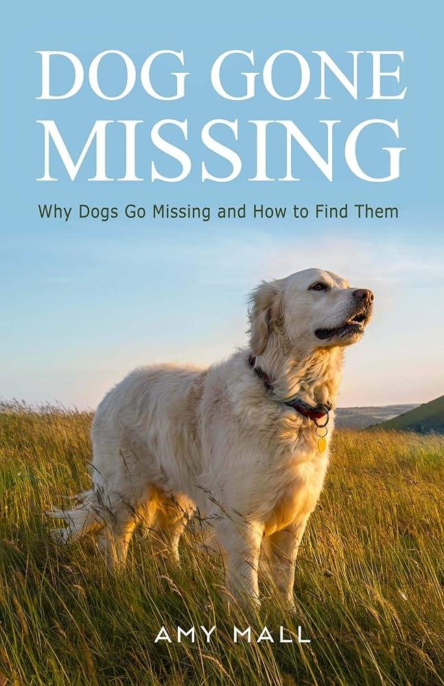 QL80 .jpg6703a8d42fcc0 - Dream About My Dog Going Missing – Causes and Interpretations