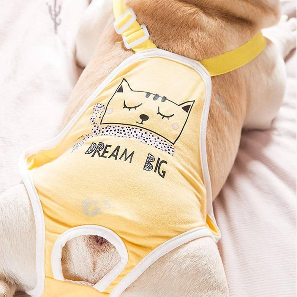 QL80 .jpg67048b43ef715 - Dream Dog Underwear – Decoding the Message