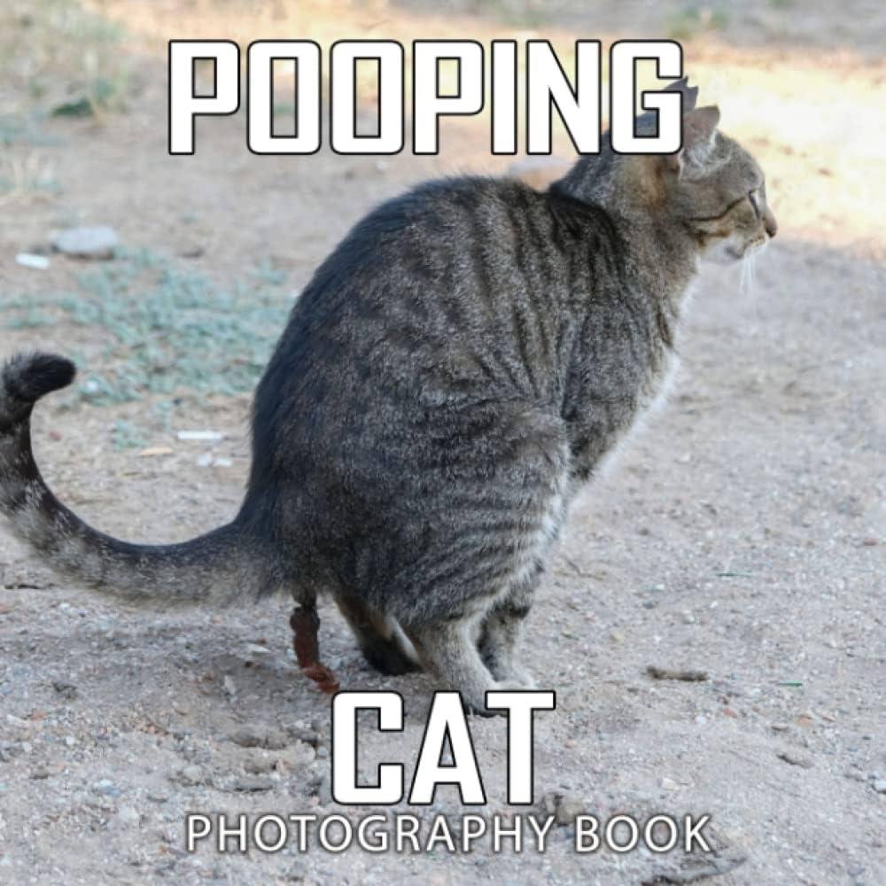 QL80 .jpg6704b6b684a1a - Dream About Cat Pooping – Decoding the Message