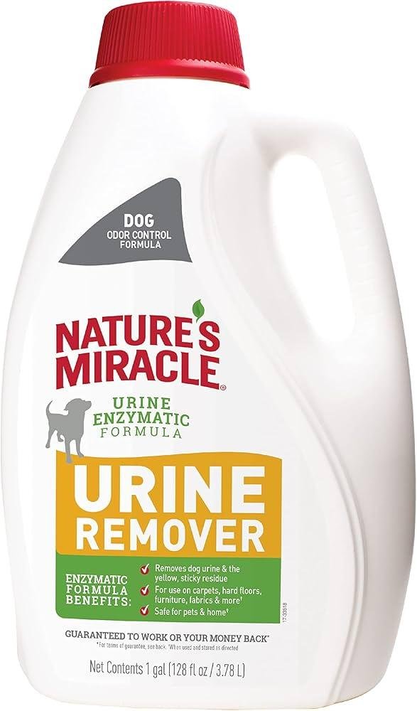 QL80 .jpg6706eec834d22 - Dream About Cleaning Dog Urine – Exploring the Meaning