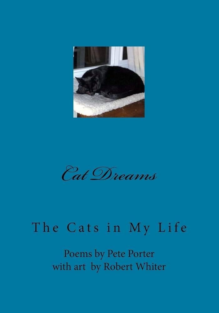 QL80 .jpg670c3307e29a5 - Dream About Your Cat – Hidden Messages and Insights