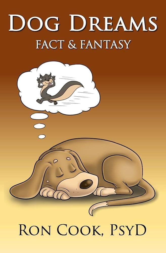 QL80 .jpg670eff2dd316f - Dream About Running Over A Dog – Hidden Messages and Insights