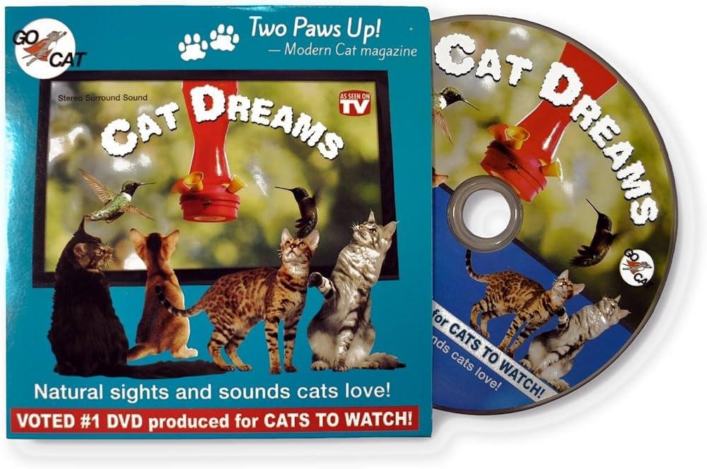 QL80 .jpg670f9ea1a3103 - Dream About Seeing A Cat – Analysis and Explanation