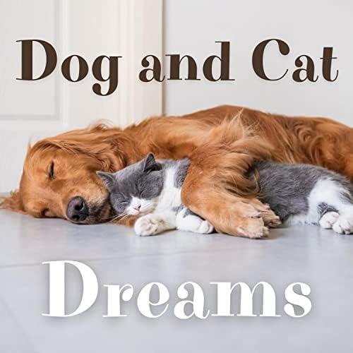 QL85  - Dream About Dog And Cat Together – What It Represents