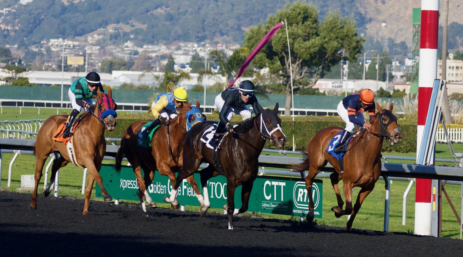 Race5.jpg67019cb084ae0 - Dream About A Horse Race – Symbolism and Significance