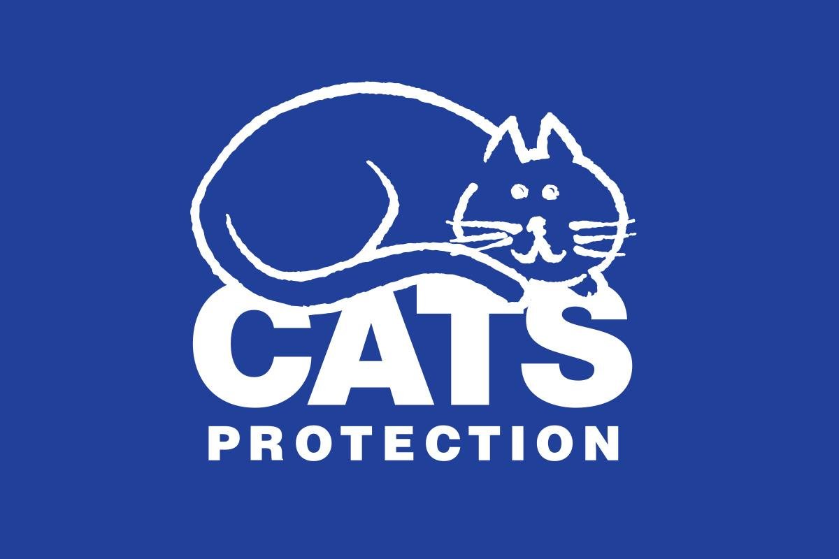 atured.jpg670509dfa384c - Dream About Cat Protecting Me – Symbolism and Significance