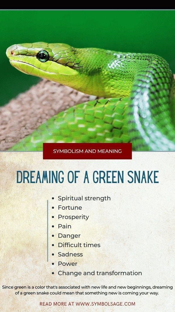 ce9abe.jpg67118a0725eb4 - Dream About Snake Chasing Me Islam – What It Could Indicate