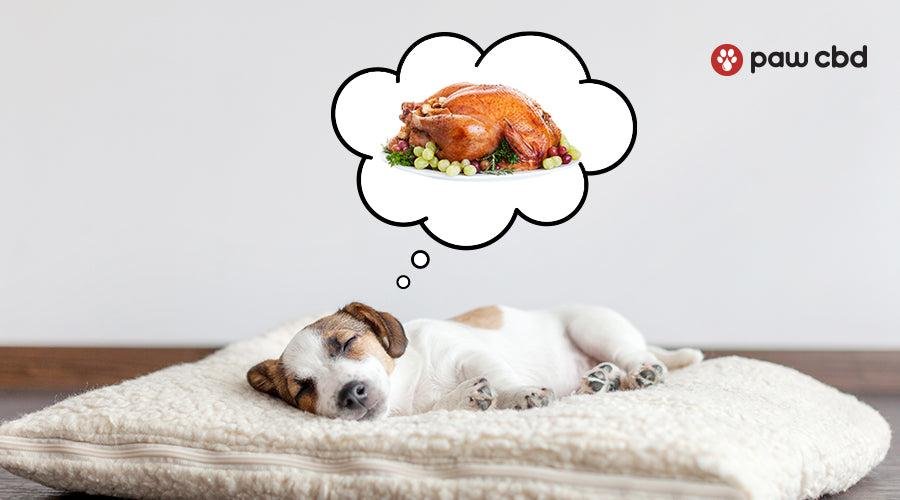 d copy.jpg6718093623e4b - Dream About Dog Cut In Half – Analysis and Explanation