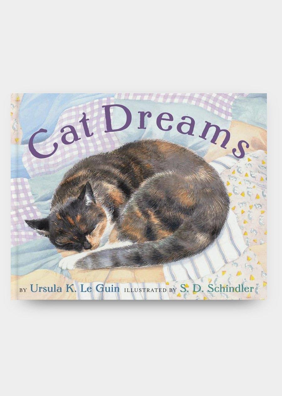 e guin.jpg670f9e9a95db5 - Dream About Seeing A Cat – Analysis and Explanation