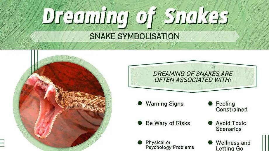 eaning.jpg671087064af7e - Dream About Killing A Big Snake – Symbolism and Significance