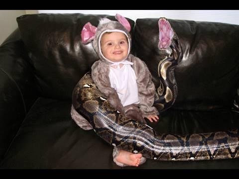 efault.jpg6701a02304a07 - Dream About Snake Eating A Baby – Symbolism and Significance