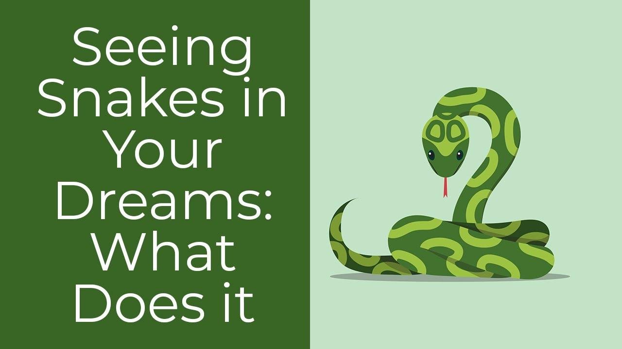 efault.jpg6710f7244ea46 - Dream About Snake From – What It Could Indicate