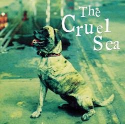 el Sea - Dream About A 3 Legged Dog – Spiritual and Psychological Insights