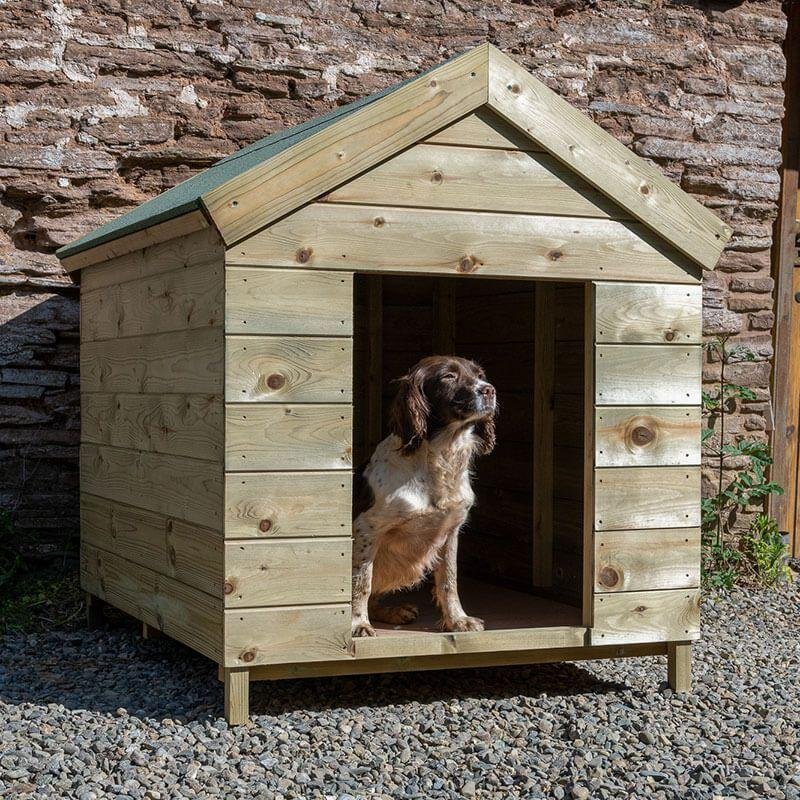 itu2 1 - Dream About Dog Kennel – Spiritual and Psychological Insights