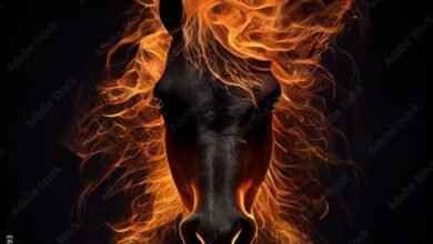 mgUVlo 390x220 - Dream About Horse On Fire – Understanding Its Implications