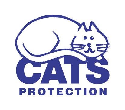 n Logo - Dream About Cat Protecting Me – Symbolism and Significance