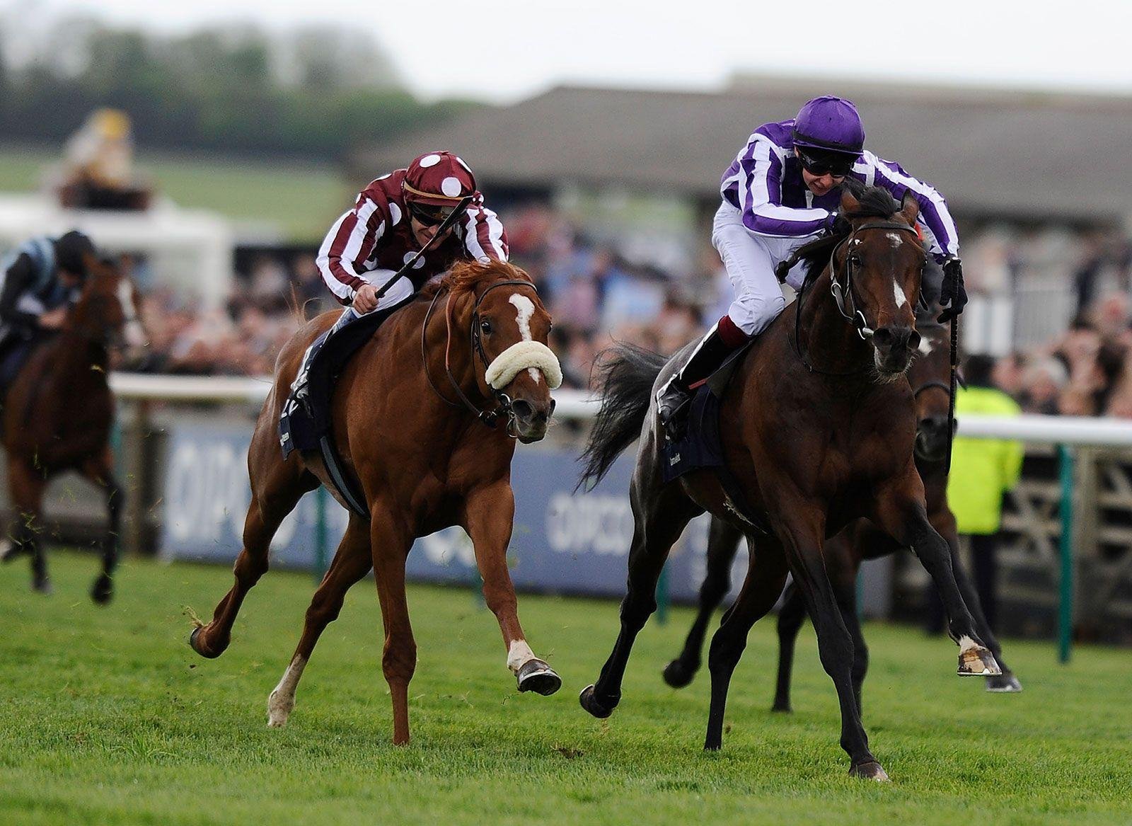 o 1970 - Dream About Horse Racing – Hidden Messages and Insights