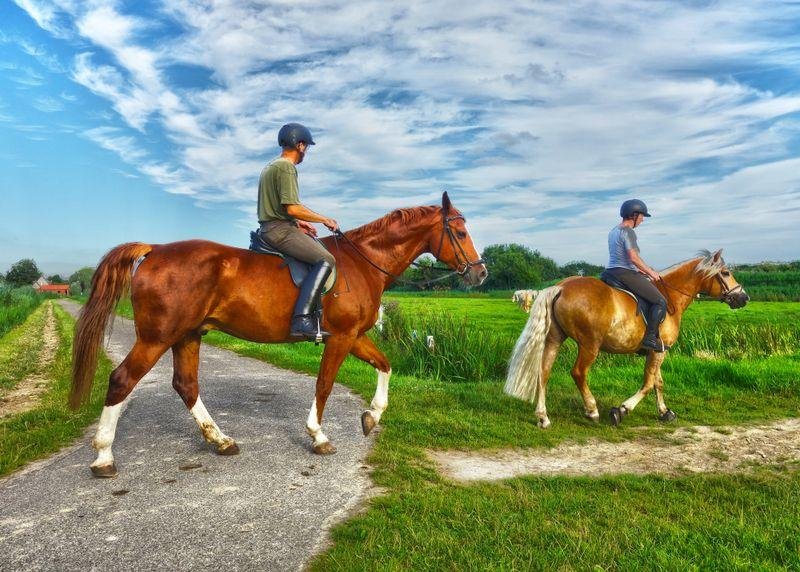 ontent - Dream About Riding Horse In Islam – Symbolism and Significance