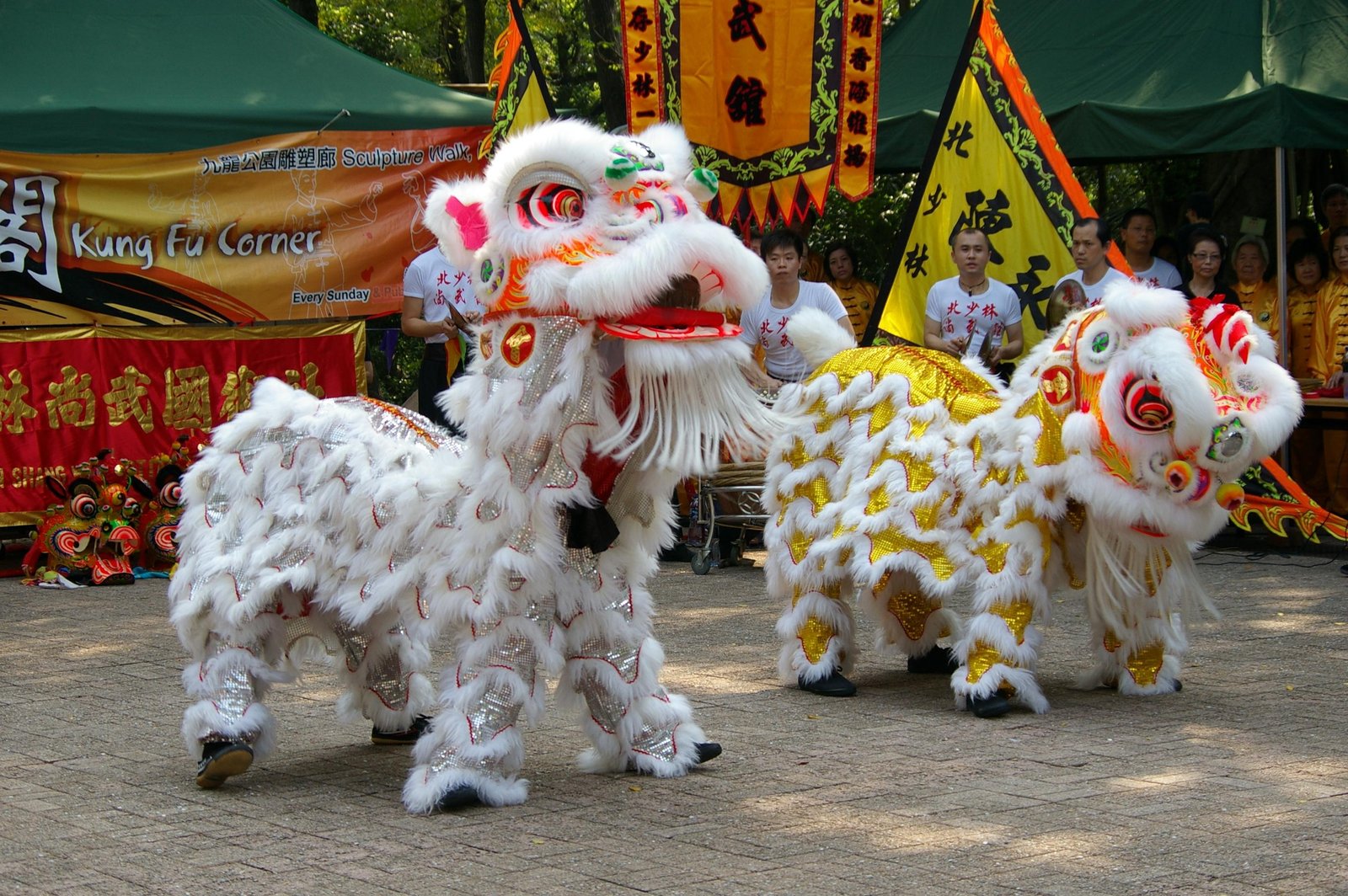 owloon - Dream About Lion Dance – Exploring the Meaning