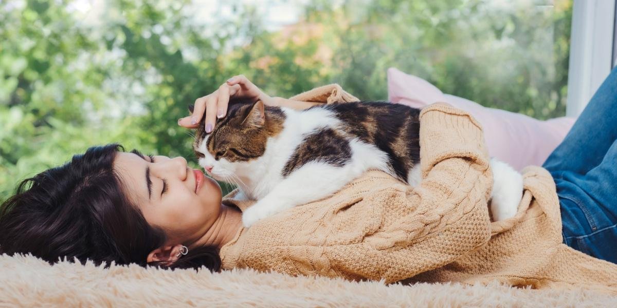 ressed.jpg670bf07182f57 - Dream About Cat Cuddling Me – Exploring the Meaning