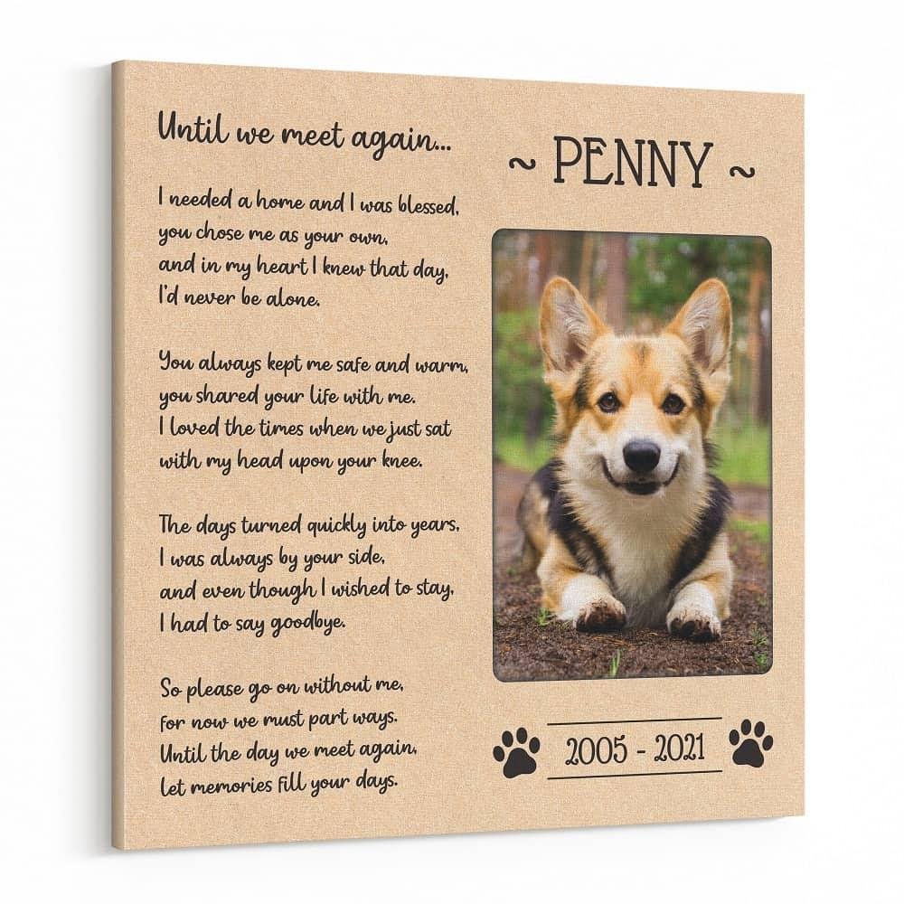 rint A - Dream About Dog Passing Away – Analysis and Explanation