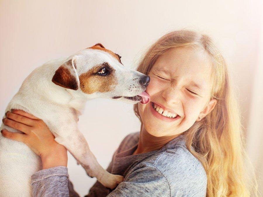 s Lick - Dream About Dog Licking You – Understanding Its Implications