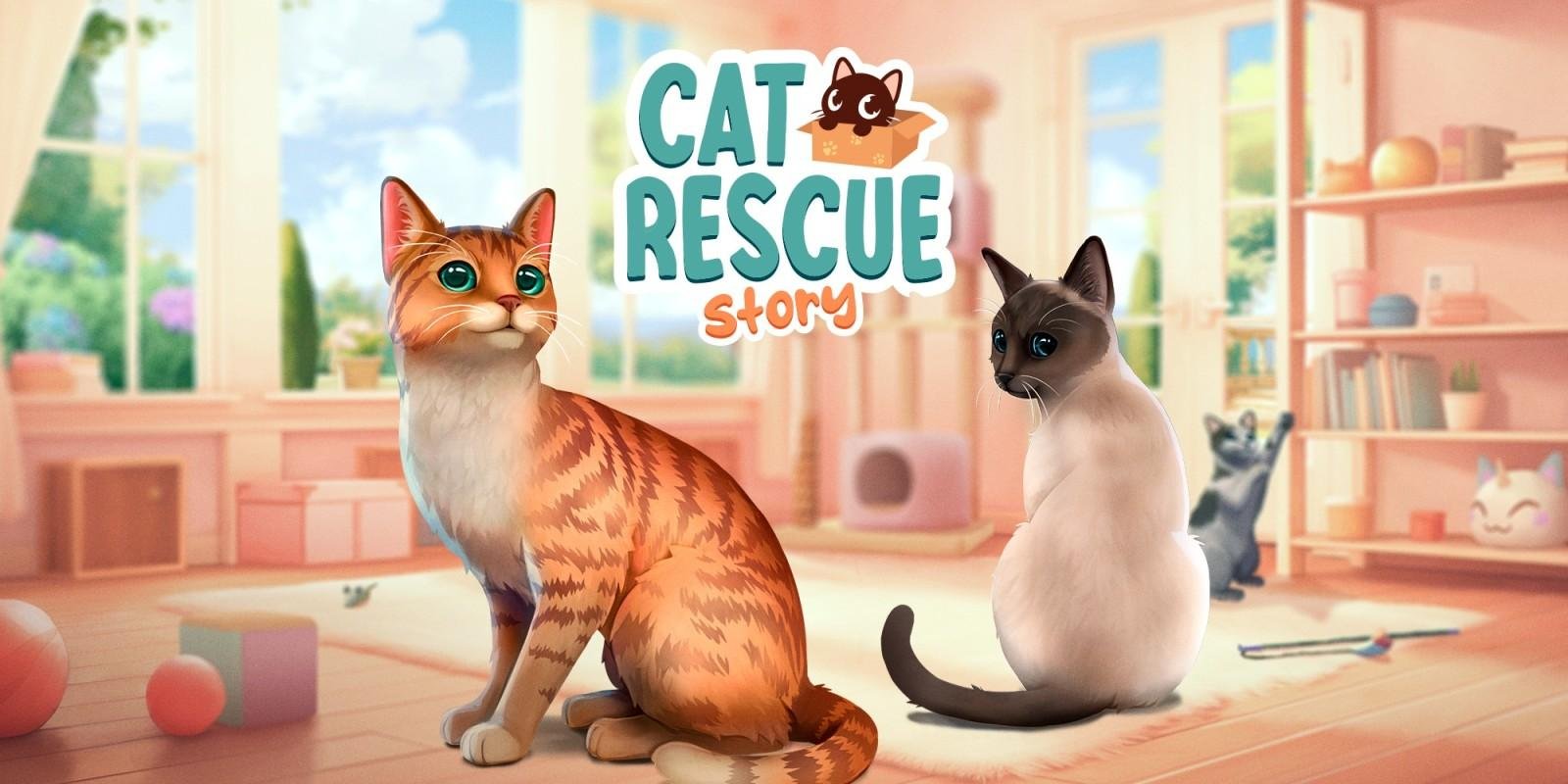 tory 2 - Dream About Rescuing A Cat – Analysis and Explanation
