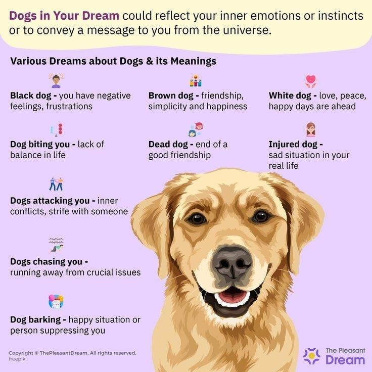 v9WVLm - Dream About Deceased Dog – Understanding Its Implications