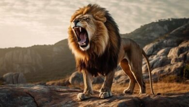 vt8muV 390x220 - Dream About Lion Roaring – Symbolism and Significance
